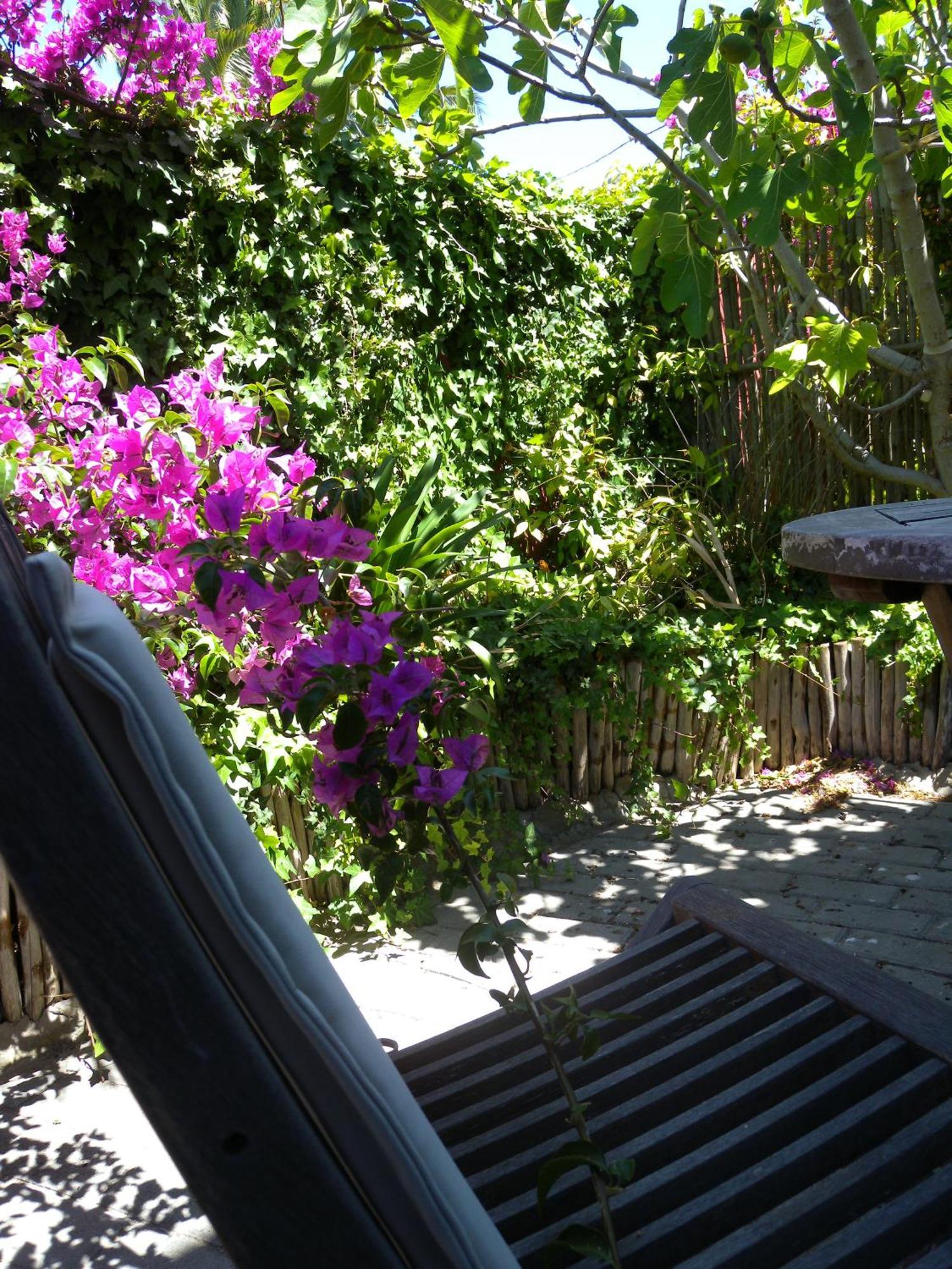 Capetown 4U Guesthouse Bloubergstrand Εξωτερικό φωτογραφία